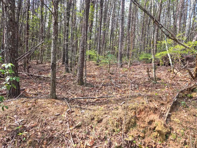 $488,800 | 0 Pumpkintown Highway, Pickens, SC 29671