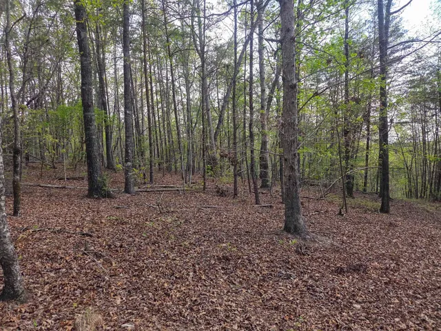 $488,800 | 0 Pumpkintown Highway, Pickens, SC 29671