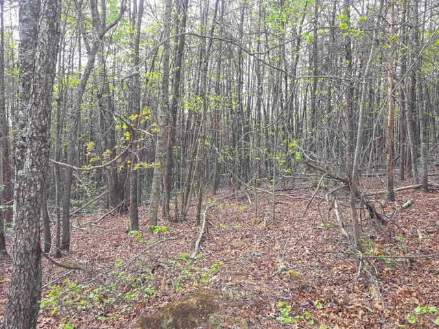 $488,800 | 0 Pumpkintown Highway, Pickens, SC 29671