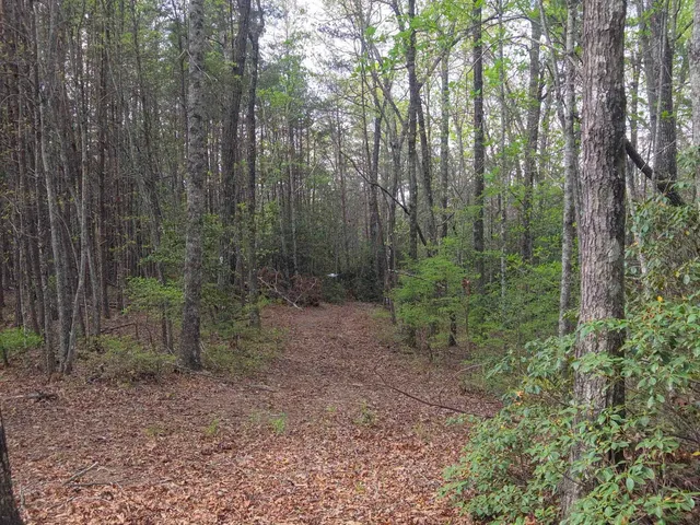 $488,800 | 0 Pumpkintown Highway, Pickens, SC 29671