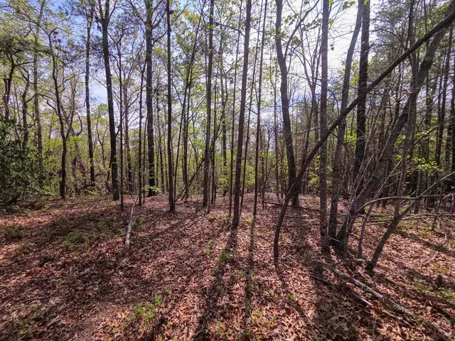 $488,800 | 0 Pumpkintown Highway, Pickens, SC 29671