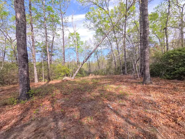 $488,800 | 0 Pumpkintown Highway, Pickens, SC 29671