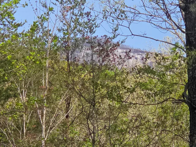 $488,800 | 0 Pumpkintown Highway, Pickens, SC 29671