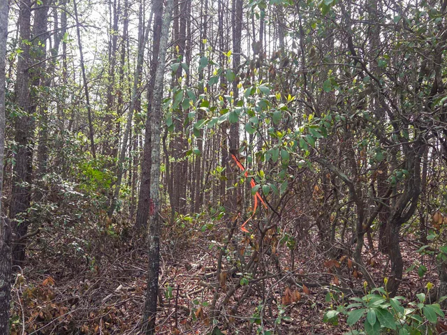 $488,800 | 0 Pumpkintown Highway, Pickens, SC 29671