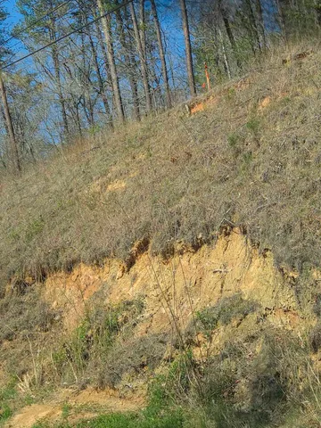 $488,800 | 0 Pumpkintown Highway, Pickens, SC 29671