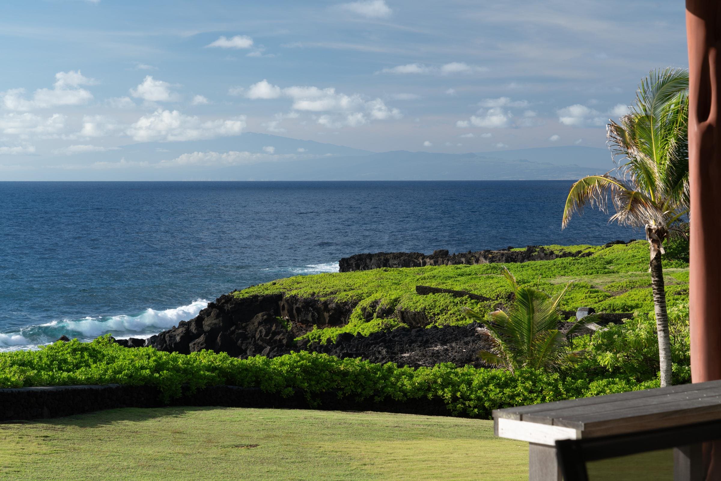 51 Kapohue Road Hana, HI 96713 - Photo 19 of 50 a view of a garden