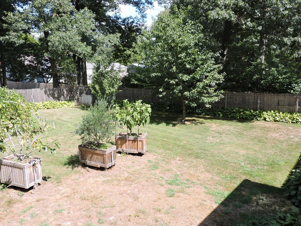22 Palo Alto Road Springfield, MA 01128 - Photo 24 of 28 a view of a backyard with potted plants and trees