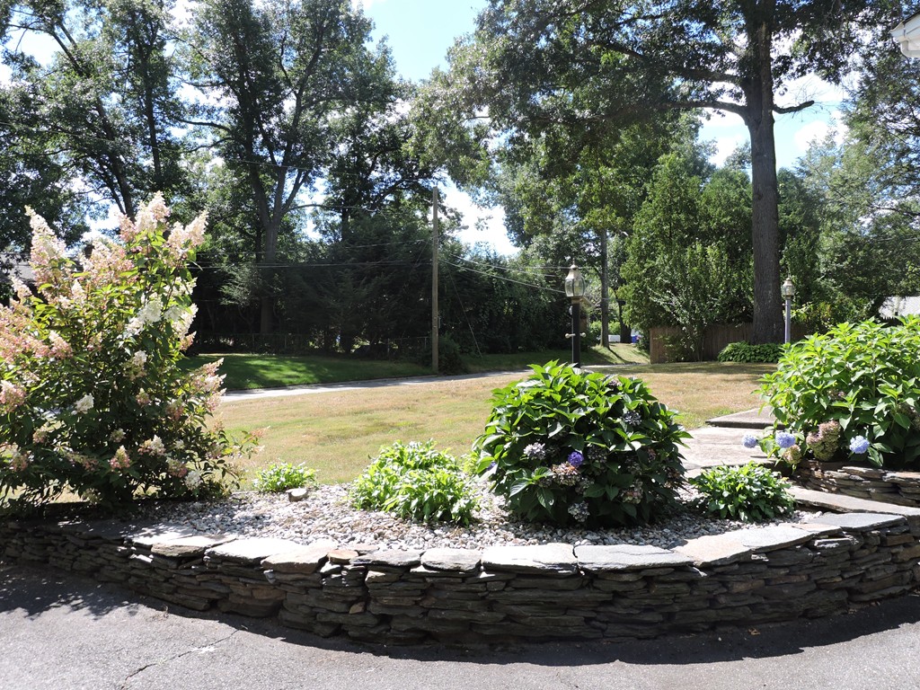 22 Palo Alto Road Springfield, MA 01128 - Photo 3 of 28 a view of a garden with plants