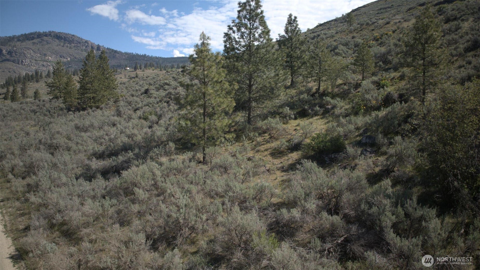 0 Round Up Road, Unit 13 Oroville, WA 98844 - Photo 6 of 6