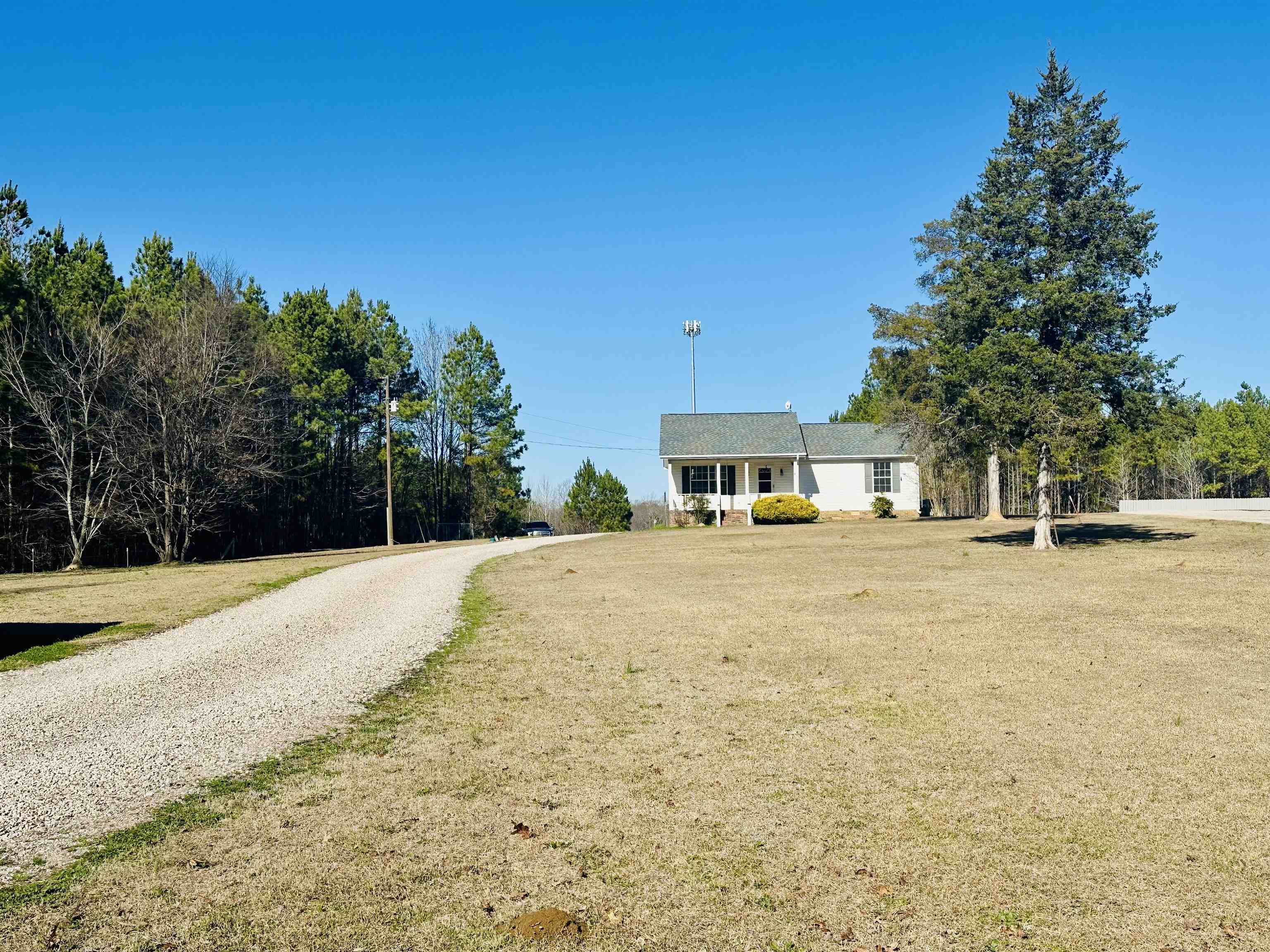 3566 Highway 142 Selmer, TN 38375 - Photo 15 of 20 View of dirt / gravel driveway
