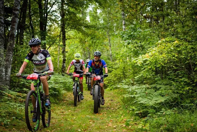 $46,000 | 6032 Voyageur's Trail, Biwabik, MN 55705