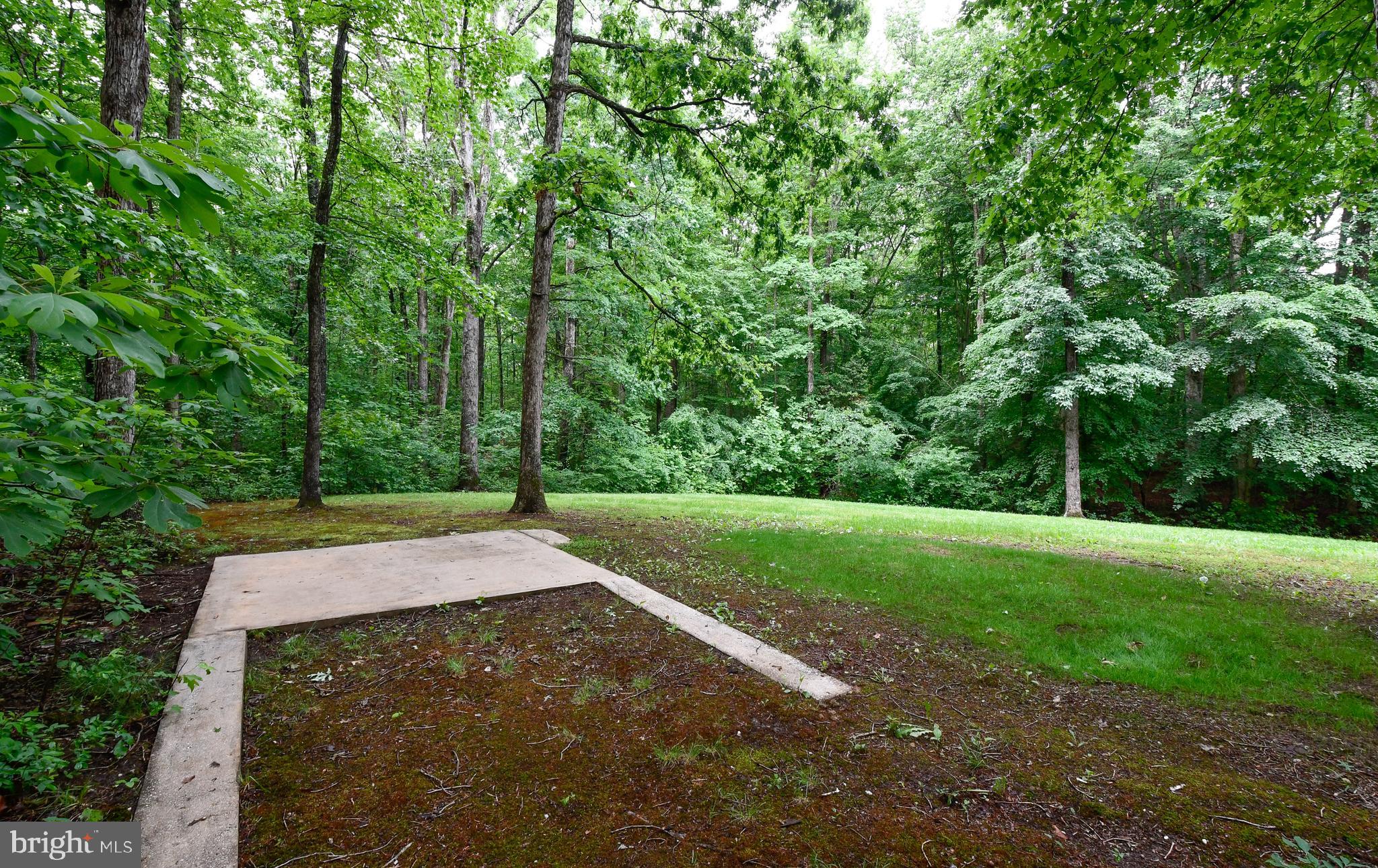 4638 Ladysmith Road Ruther Glen, VA 22546 - Photo 65 of 74 back yard