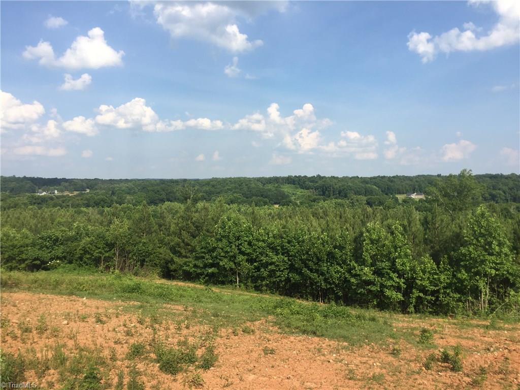 1045 Ridges Mountain Road Asheboro, NC 27205 - Photo 2 of 22 Gallery Image 2