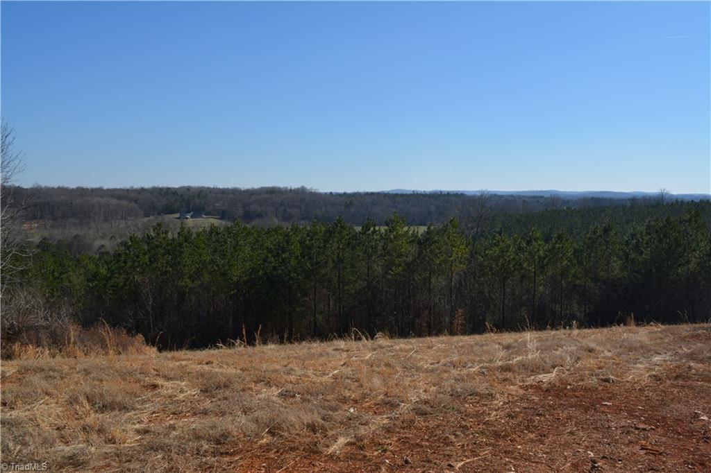 1045 Ridges Mountain Road Asheboro, NC 27205 - Photo 11 of 22 Gallery Image 11