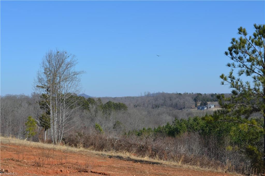 1045 Ridges Mountain Road Asheboro, NC 27205 - Photo 14 of 22 Gallery Image 14