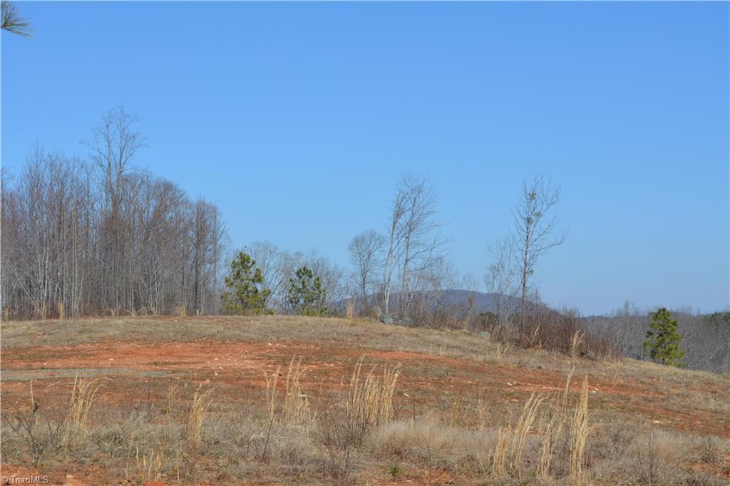 1045 Ridges Mountain Road Asheboro, NC 27205 - Photo 15 of 22 Gallery Image 15