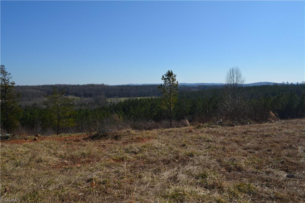 1045 Ridges Mountain Road Asheboro, NC 27205 - Photo 16 of 22 Gallery Image 16