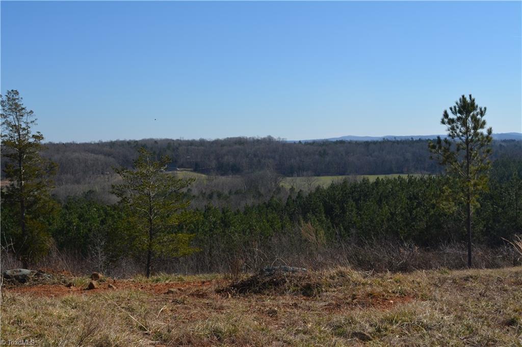 1045 Ridges Mountain Road Asheboro, NC 27205 - Photo 17 of 22 Gallery Image 17