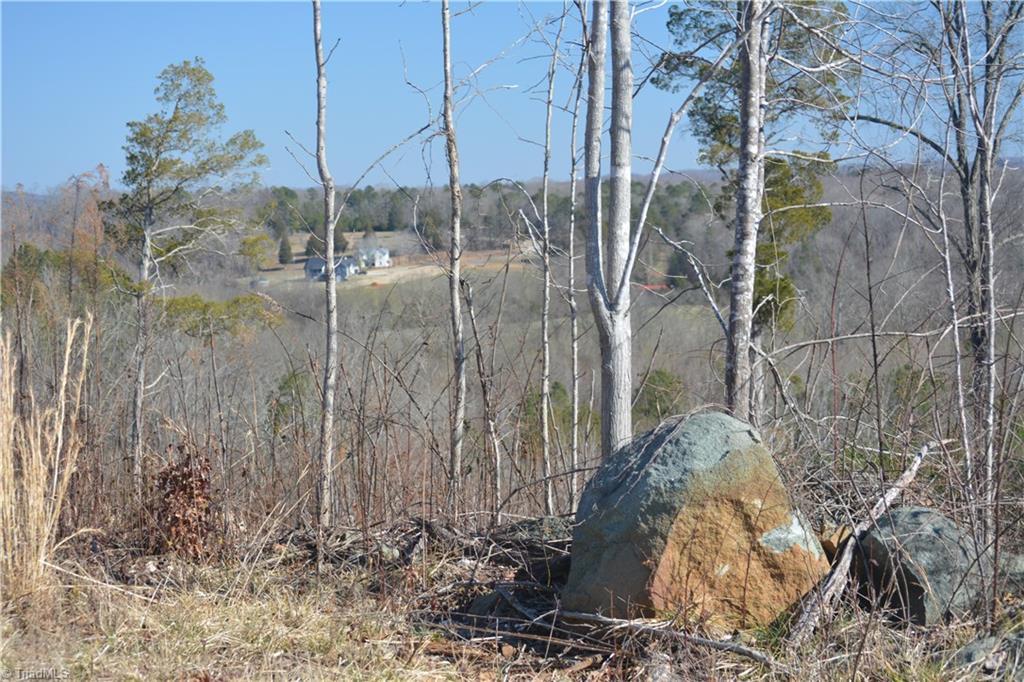 1045 Ridges Mountain Road Asheboro, NC 27205 - Photo 18 of 22 Gallery Image 18