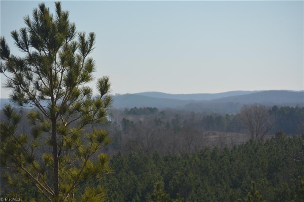 1045 Ridges Mountain Road Asheboro, NC 27205 - Photo 20 of 22 Gallery Image 20