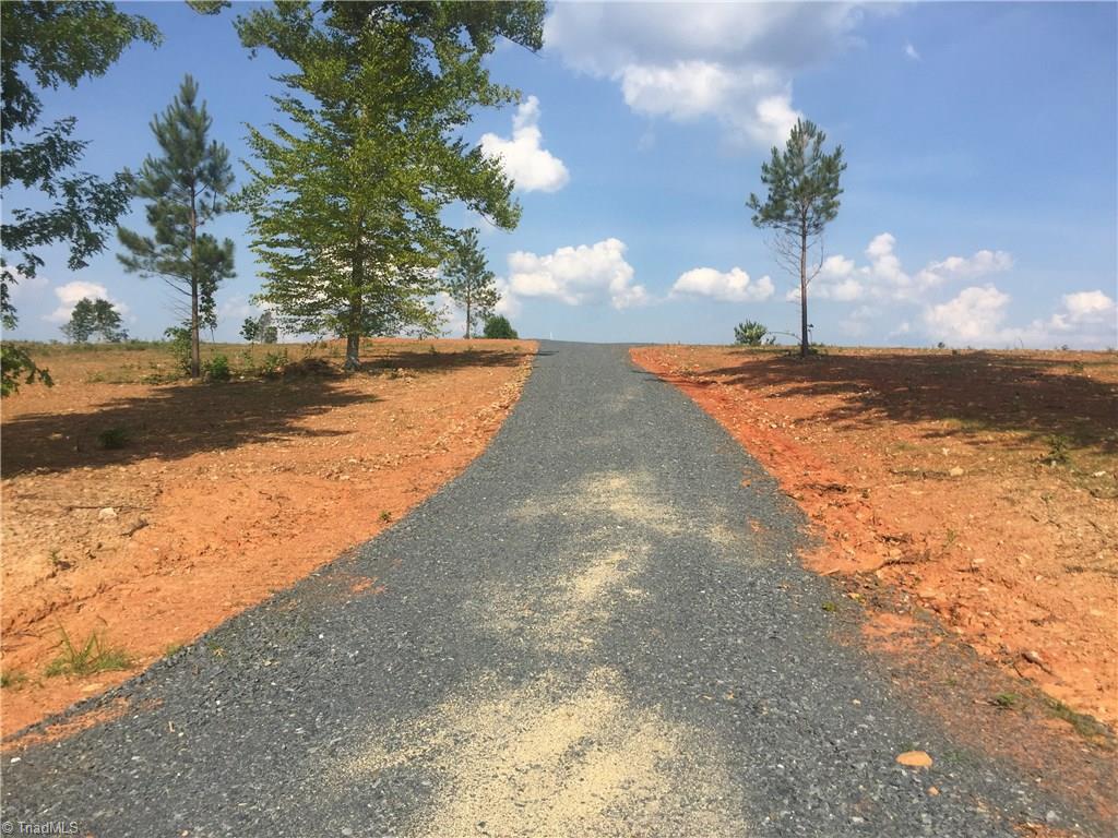 1045 Ridges Mountain Road Asheboro, NC 27205 - Photo 3 of 22 Gallery Image 3