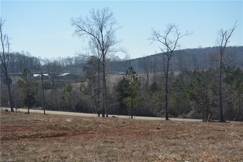 1045 Ridges Mountain Road Asheboro, NC 27205 - Photo 21 of 22 Gallery Image 21