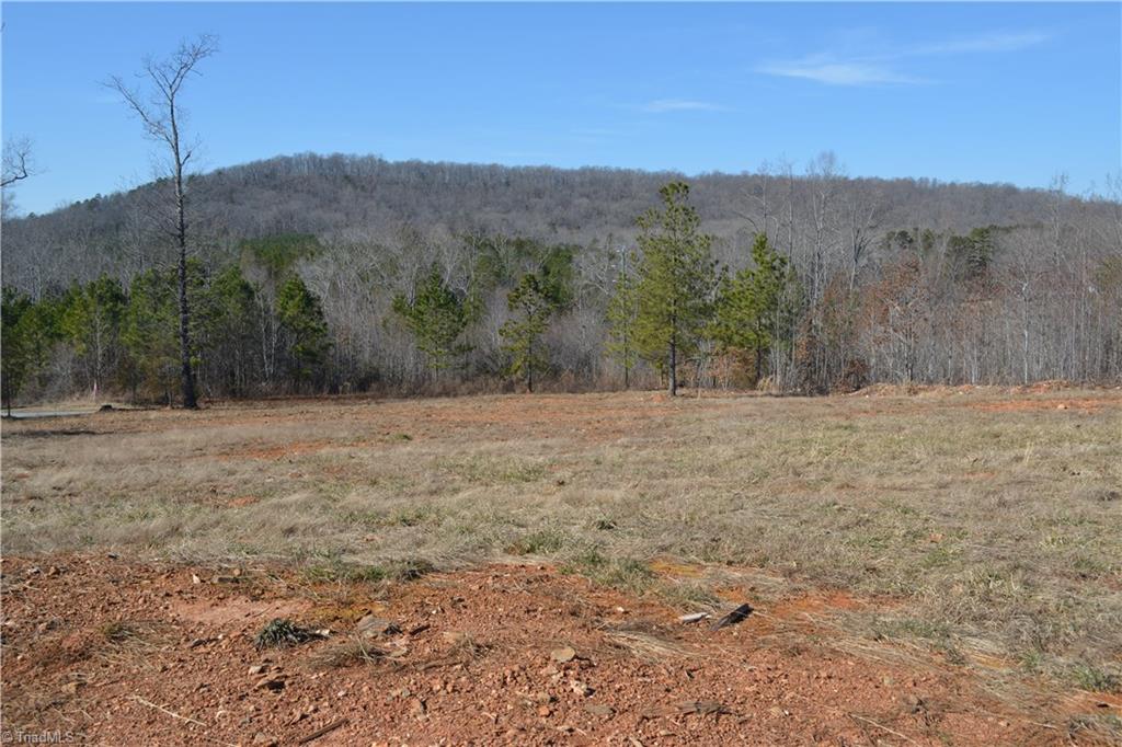1045 Ridges Mountain Road Asheboro, NC 27205 - Photo 6 of 22 Gallery Image 6