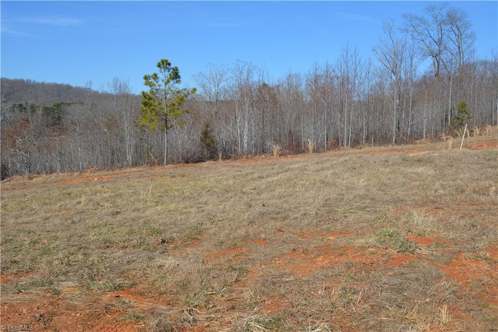 1045 Ridges Mountain Road Asheboro, NC 27205 - Photo 7 of 22 Gallery Image 7