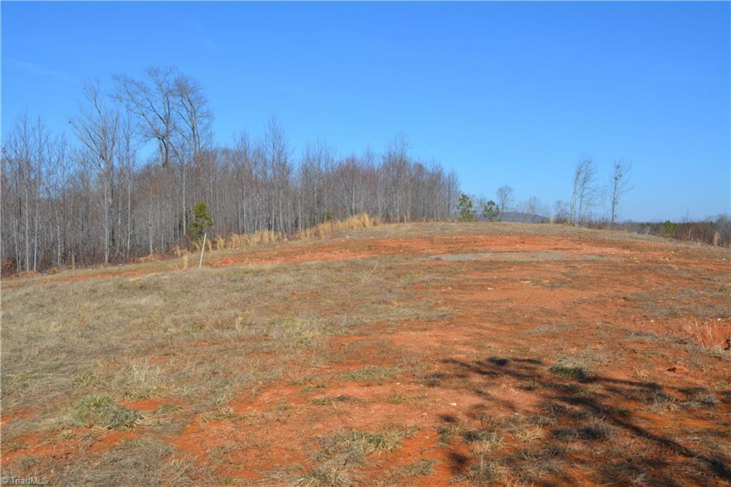 1045 Ridges Mountain Road Asheboro, NC 27205 - Photo 8 of 22 Gallery Image 8