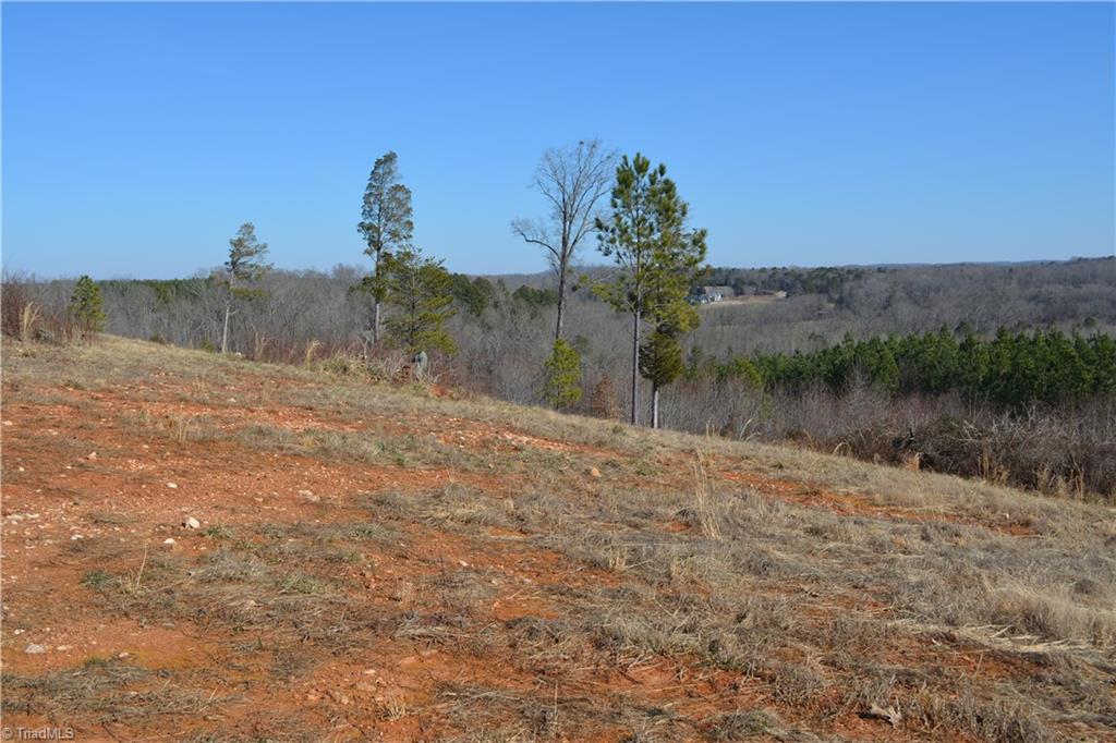 1045 Ridges Mountain Road Asheboro, NC 27205 - Photo 9 of 22 Gallery Image 9