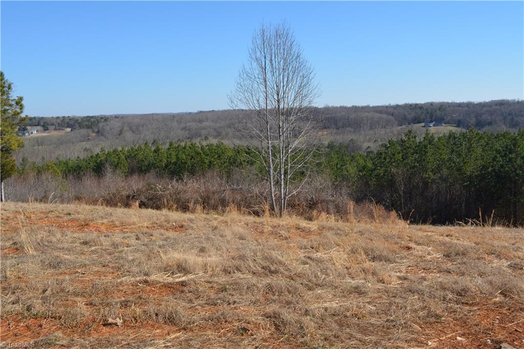 1045 Ridges Mountain Road Asheboro, NC 27205 - Photo 10 of 22 Gallery Image 10