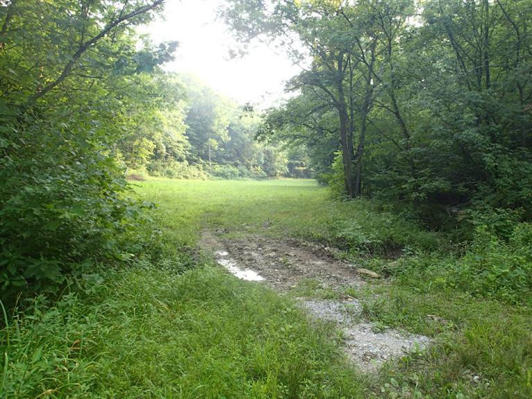 3512 Dead Timber Road California, KY 41007 - Photo 2 of 8
