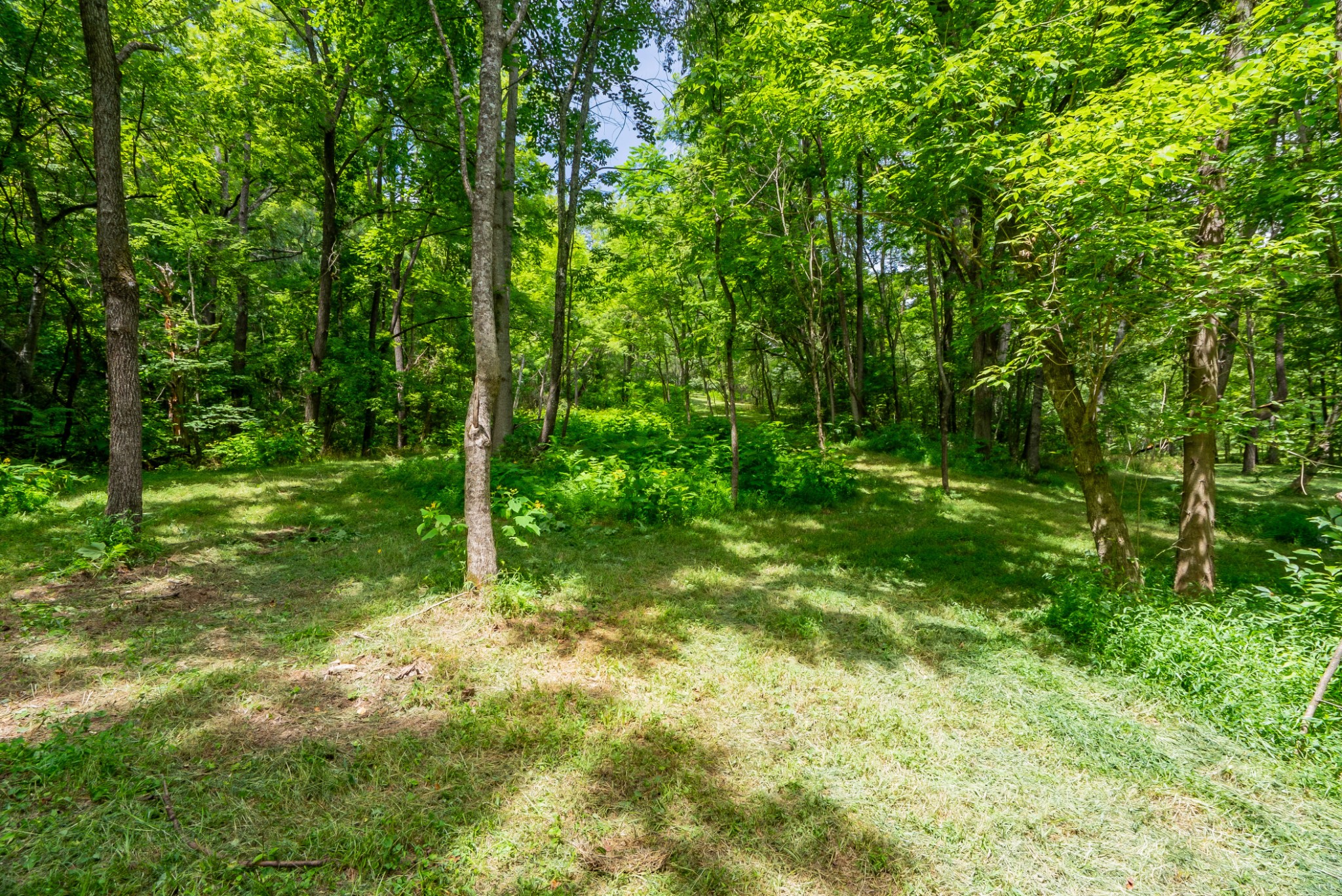 0 Bethlehem Road Springfield, TN 37172 - Photo 19 of 41 Gallery Image 19