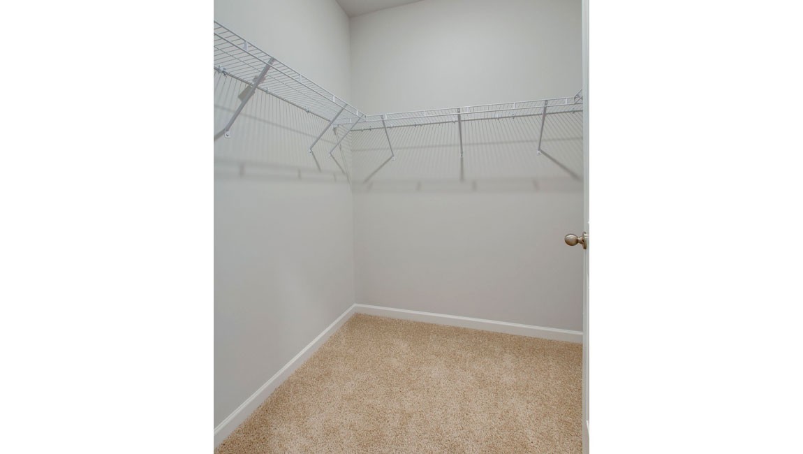 337 Ryan Road Chapel Hill, TN 37034 - Photo 31 of 38 Gallery Image 31