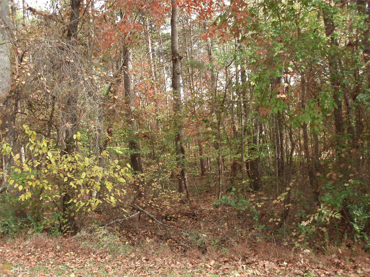 0 Ridge Court, Unit LOT 1 Ball Ground, GA 30107 - Photo 1 of 1 Gallery Image 1
