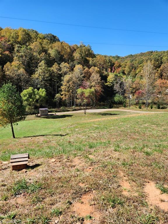 3205 Sheets Gap Road Millers Creek, NC 28651 - Photo 36 of 46