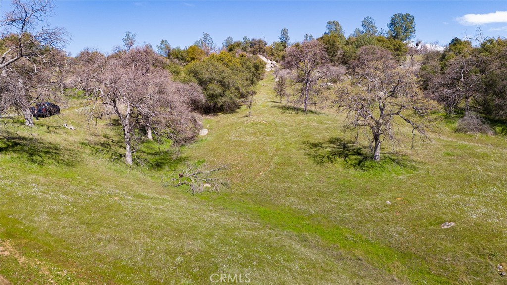 3346 Hidden Valley Road Mariposa, CA 95338 - Photo 1 of 1 Gallery Image 1