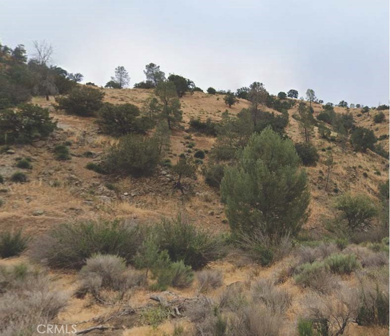 35000 Sand Canyon Road Caliente, CA 93518 - Photo 1 of 1