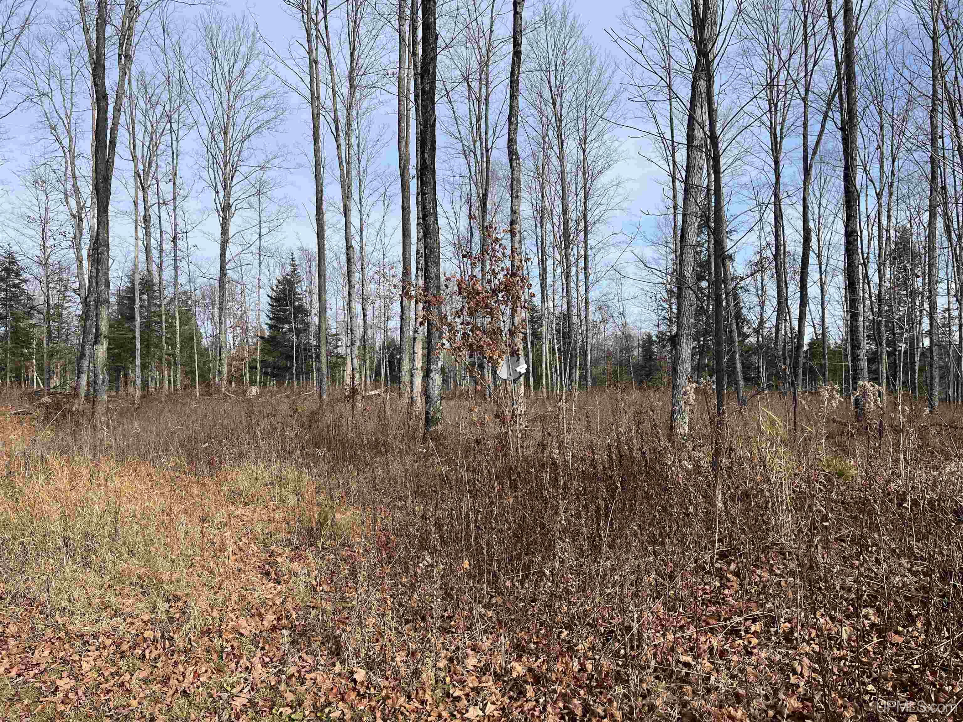 120-acres Off County Sk Road Cornell, MI 49818 - Photo 30 of 40