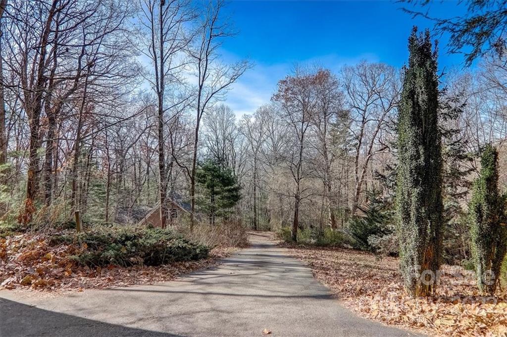 12 Wood Road Arden, NC 28704 - Photo 47 of 48 Gallery Image 47