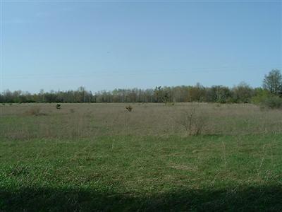 6262 Grant Road Mecosta, MI 49332 - Photo 1 of 3 Primary Photo