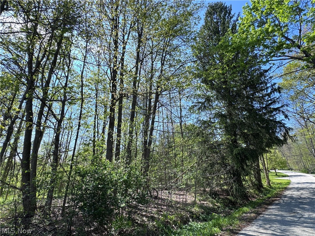 11664 Chestnutdale Road Chardon, OH 44024 - Photo 4 of 12