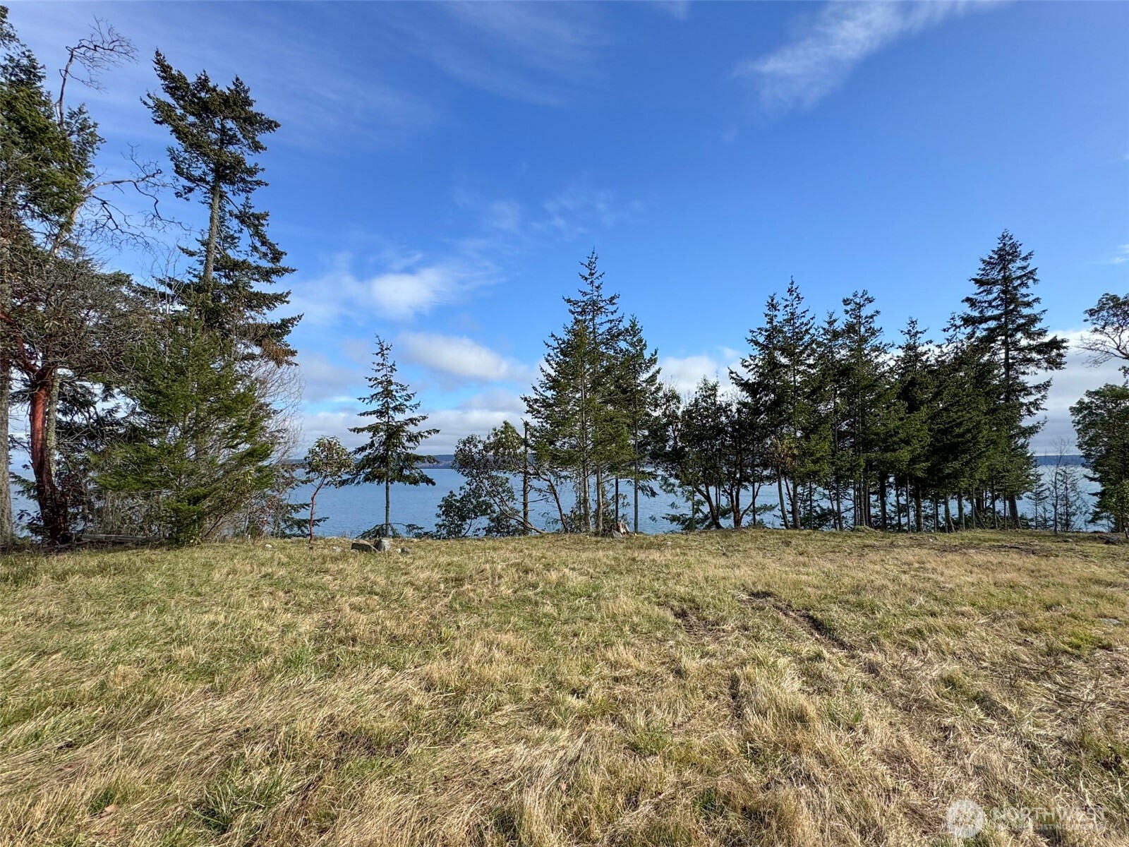 398 Daisey King Road Sequim, WA 98382 - Photo 1 of 1 Gallery Image 1