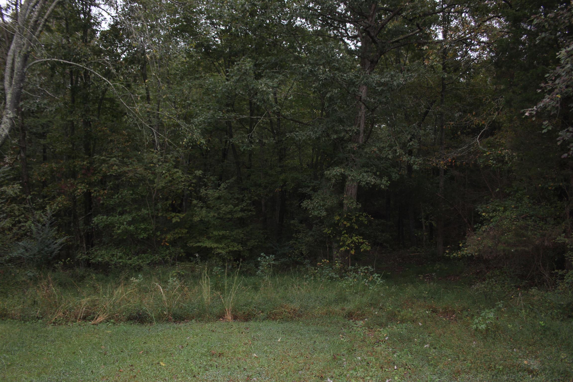 924 Dady Road McEwen, TN 37101 - Photo 4 of 5 Gallery Image 4