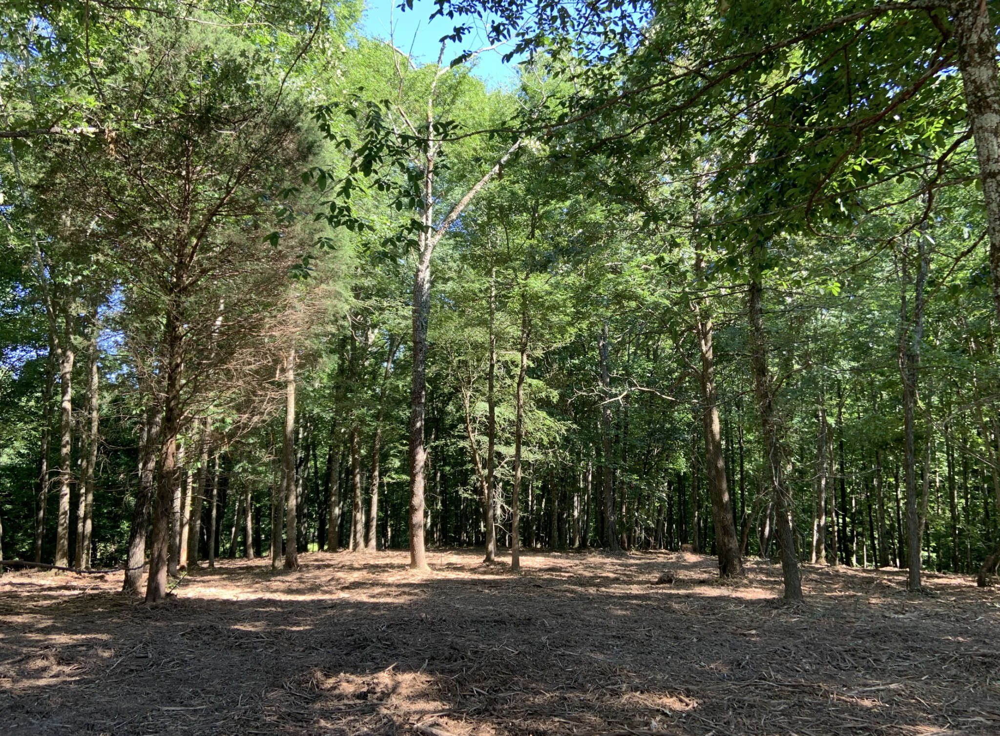 0 Sears Road Pegram, TN 37143 - Photo 3 of 8 Gallery Image 3