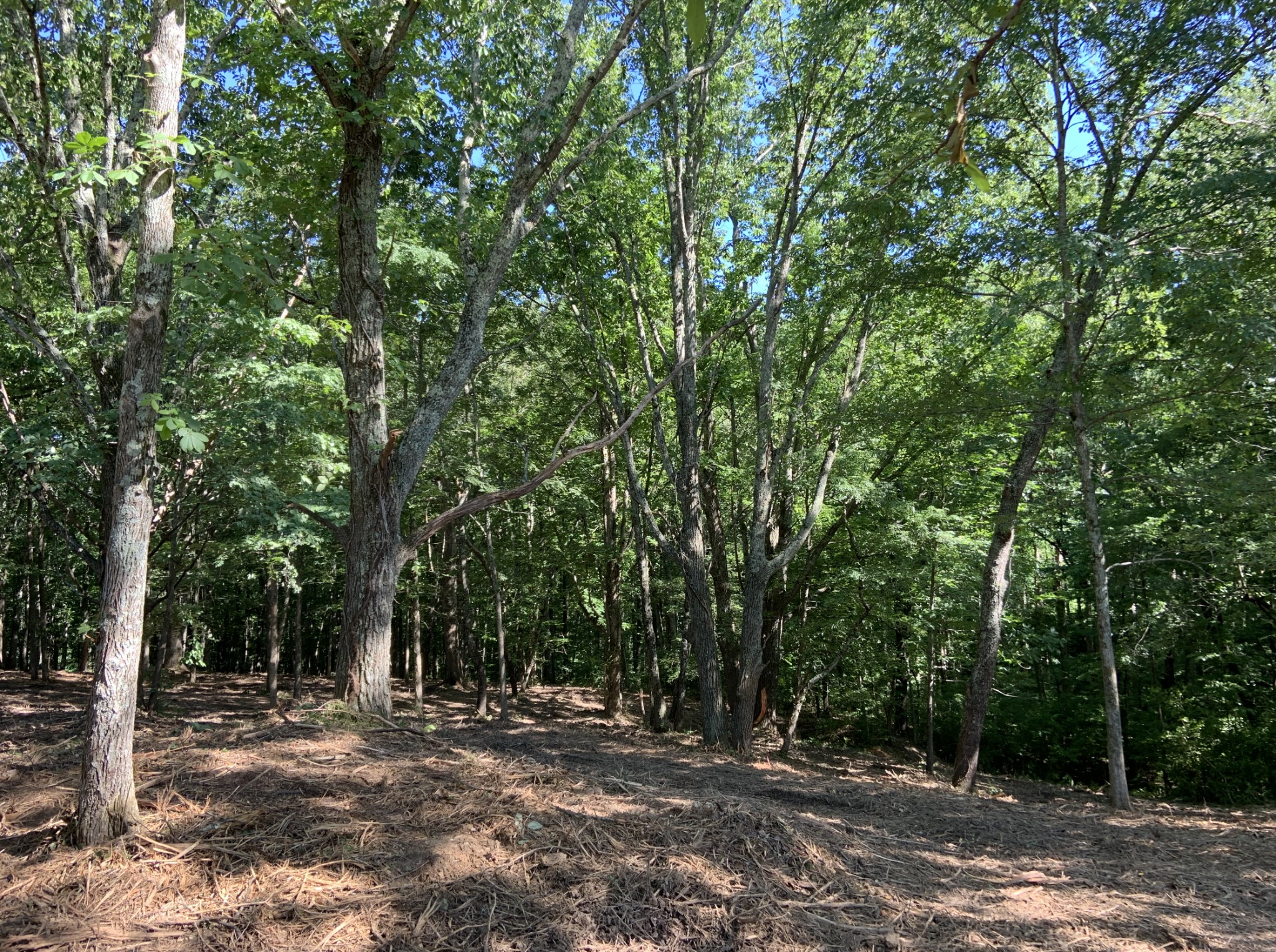 0 Sears Road Pegram, TN 37143 - Photo 6 of 8 Gallery Image 6