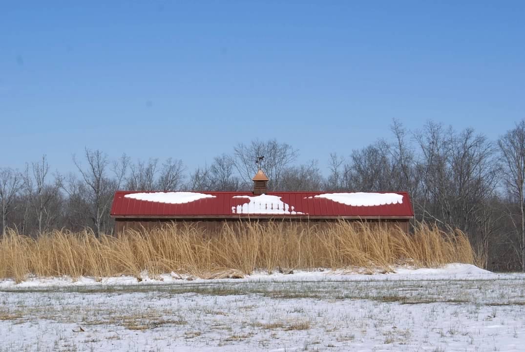 7838 Shoals Branch Road Primm Springs, TN 38476 - Photo 14 of 36 Gallery Image 14
