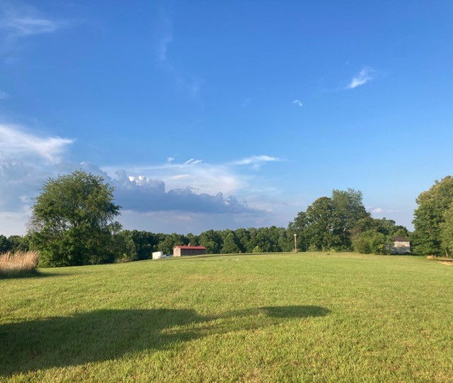 7838 Shoals Branch Road Primm Springs, TN 38476 - Photo 17 of 36 Gallery Image 17