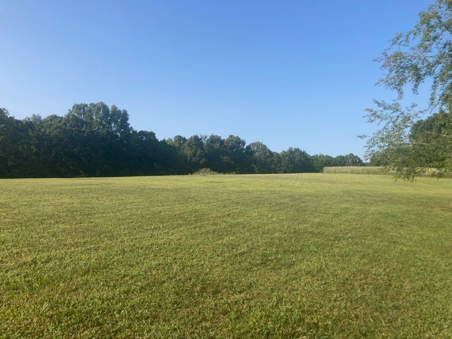 7838 Shoals Branch Road Primm Springs, TN 38476 - Photo 21 of 36 Gallery Image 21