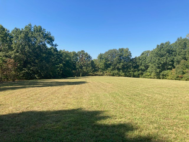 7838 Shoals Branch Road Primm Springs, TN 38476 - Photo 23 of 36 Gallery Image 23